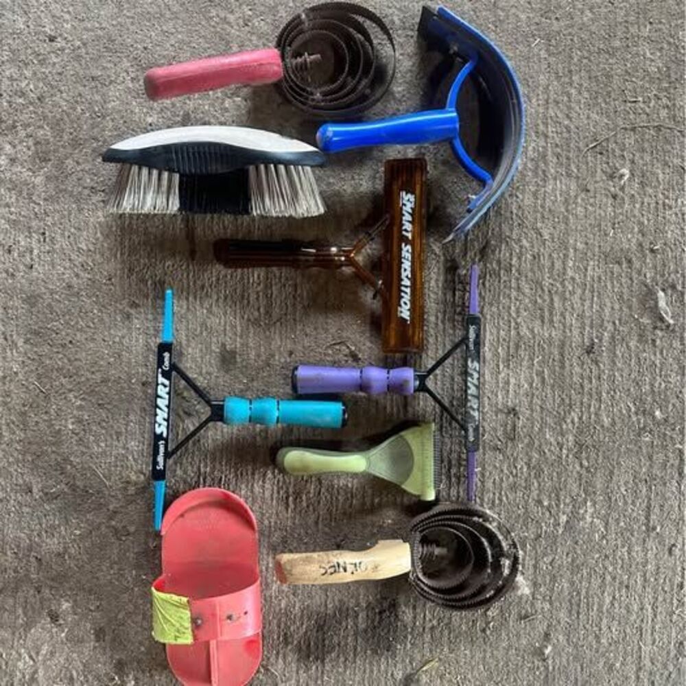 Livestock Show Grooming Bundle - Brand New Smart Combs/Sensation!